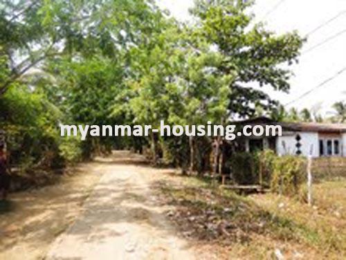 ミャンマー不動産  - 土地物件 - No.1298 - Good  land space  for sale in North Dagon ! - View of the street.