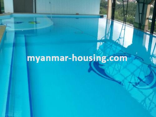 Myanmar real estate - for rent property - No.2140 - Good room in Green Lake Condo on rent. - View of Swimming Pool