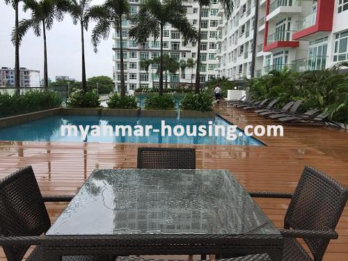 ミャンマー不動産 - 賃貸物件 - No.3500 - Well decorated Condo room for rent in GEMS Condo. - View of the Swimming Pool