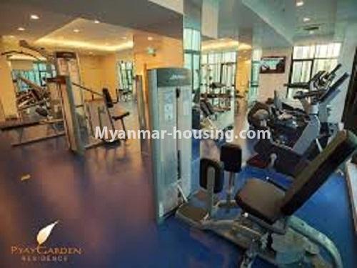 ミャンマー不動産 - 賃貸物件 - No.3798 - Standard room for rent in Pyay Garden Condo. - View of Gym room