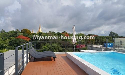 Myanmar real estate - for rent property - No.4310 - Nice condo room for rent in Bahan! - swimming pool