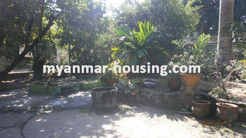 Myanmar real estate - for sale property - No.1647 - Easy for transportation and is a calm , quiet neighbourhood ! - View of the garden.